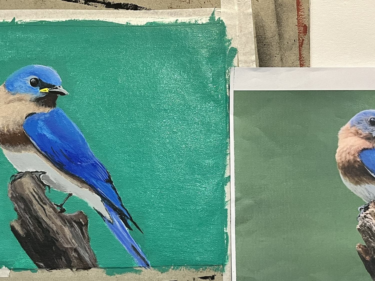 Student bluebird painting alongside the reference photograph